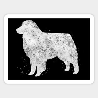 Australian shepherd dog Magnet